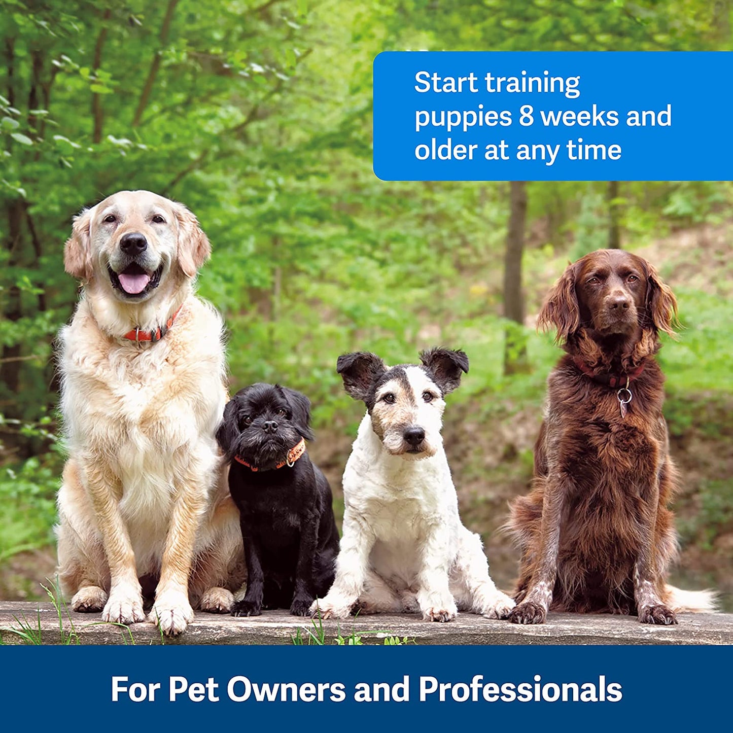 Dog Training Clicker - Positive Behavior Reinforcer for Pets - All Ages