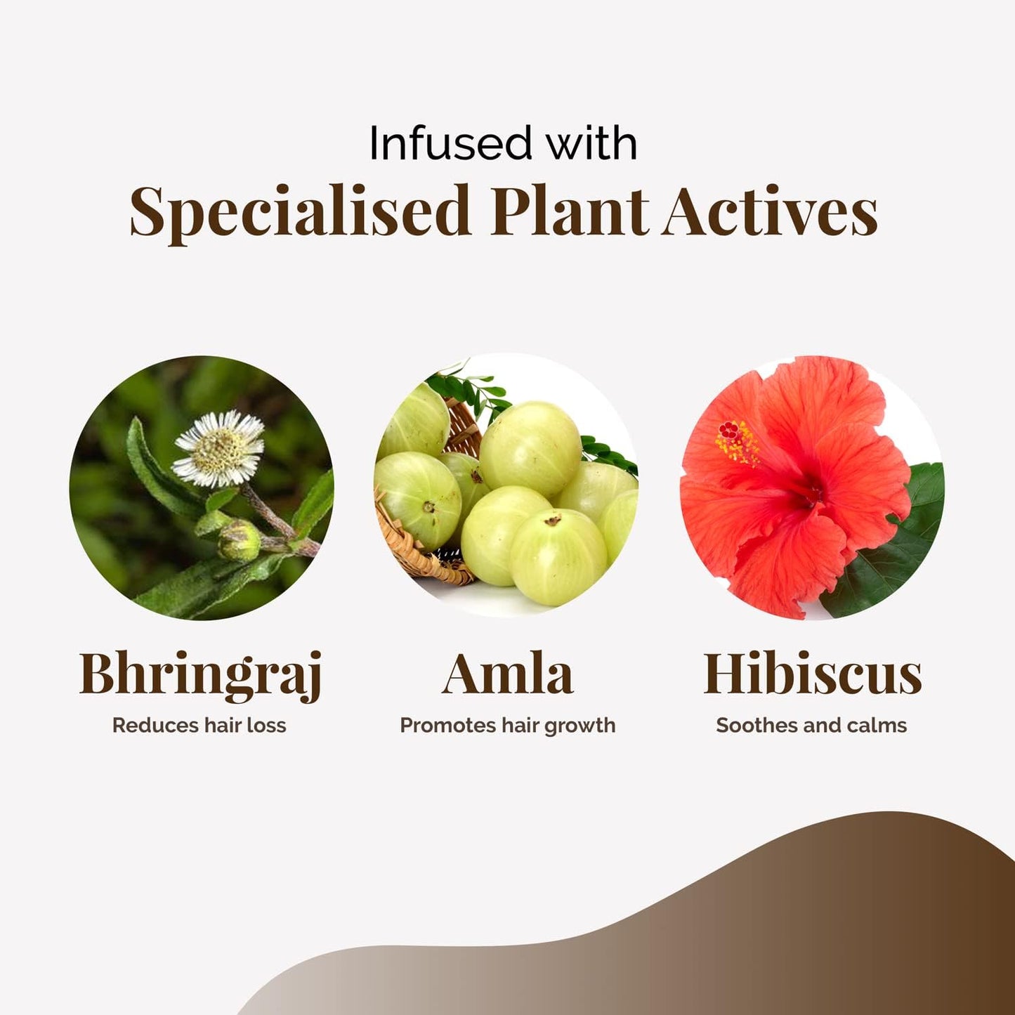 Life & Pursuits Organic Hair Growth Oil (6.76 fl oz) - Ayurvedic Scalp Therapy Oil for Healthy Hair, Goodness of Bhringraj, Amla, Coconut, Sesame, Almond, Onion, & Castor Oil