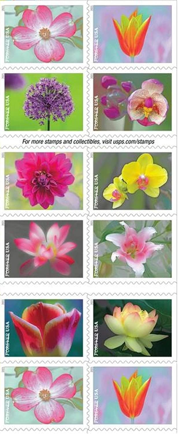 USPS Garden Beauty 2020 Forever Stamps - Booklet of 20 Postage Stamps