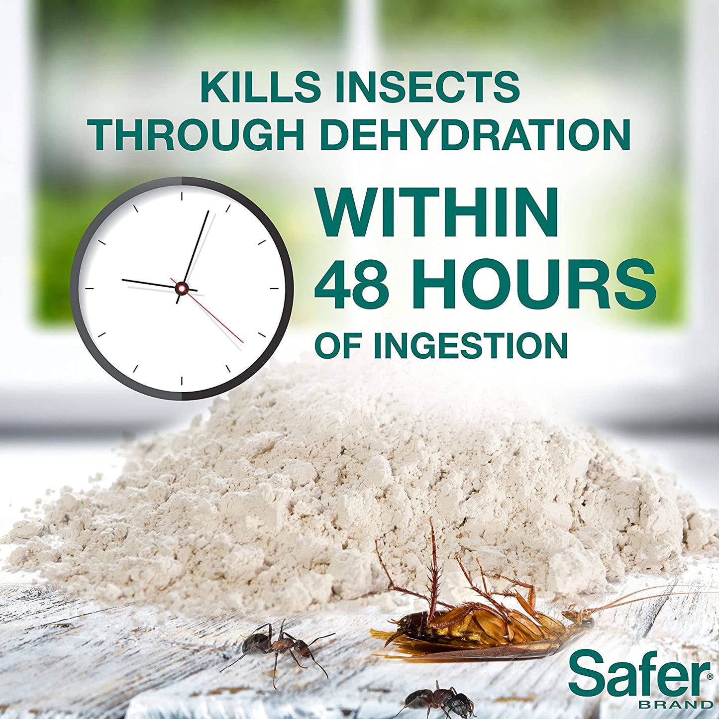 Diatomaceous Earth - Ant, Roach, Bedbug, Flea, Silverfish, Earwig, & Crawling Insect Killer