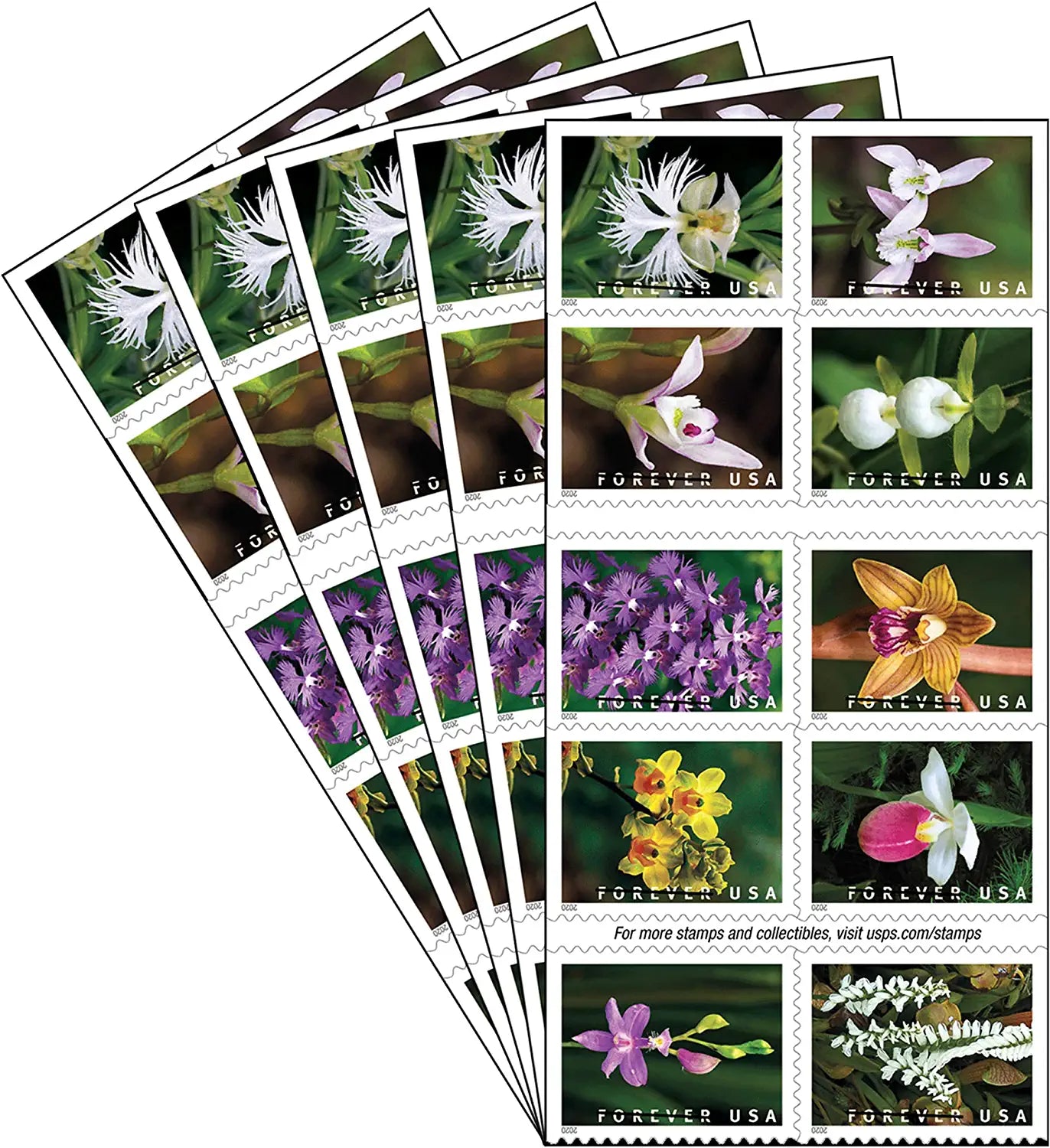 USPS Wild Orchids 2020 Forever Stamps - Booklet of 20 Postage Stamps