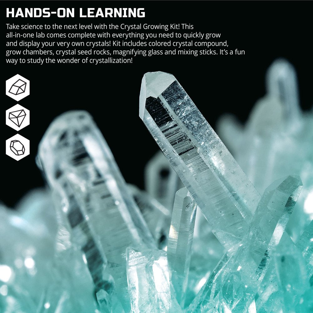 12-Piece Natural Crystal Growing Science Kit, for Kids & Teens