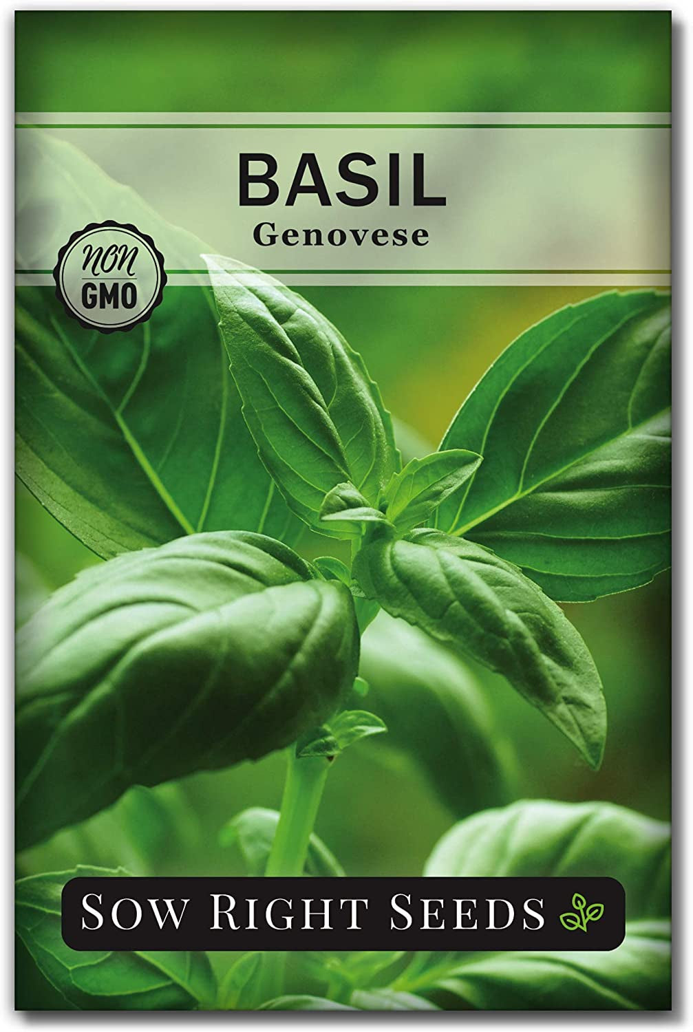 5 Herb Seed Collection - Genovese Basil, Chives, Cilantro, Italian Parsley, and Oregano Seeds