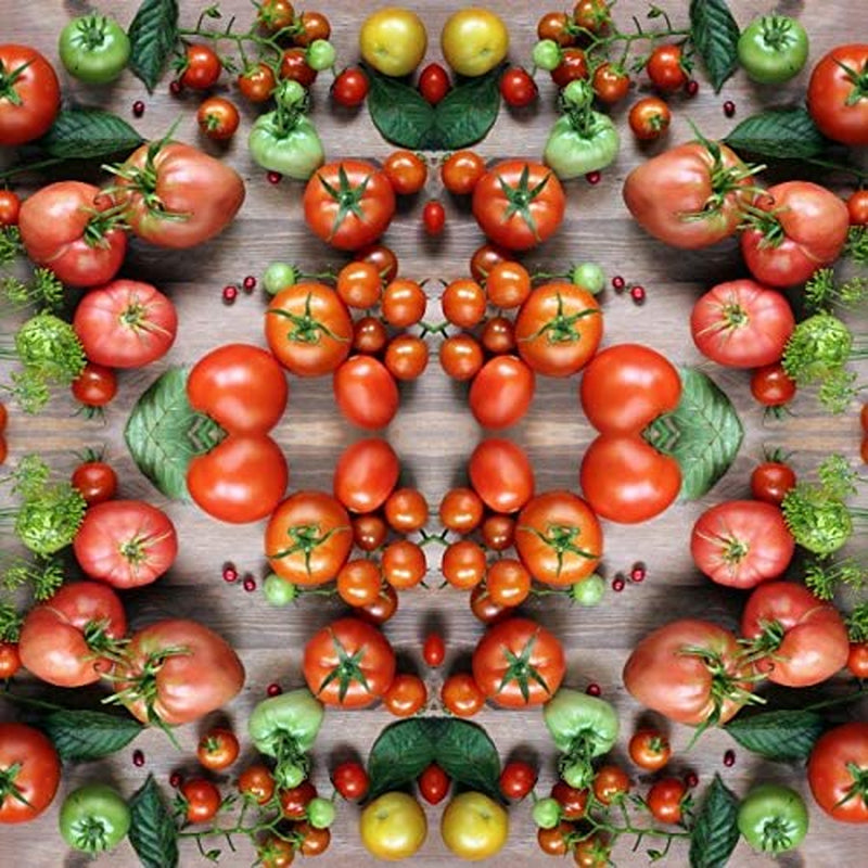 Vegetable Tomato Kaleidoscope Variety Mix (from Small to Giant) - 50 Seeds