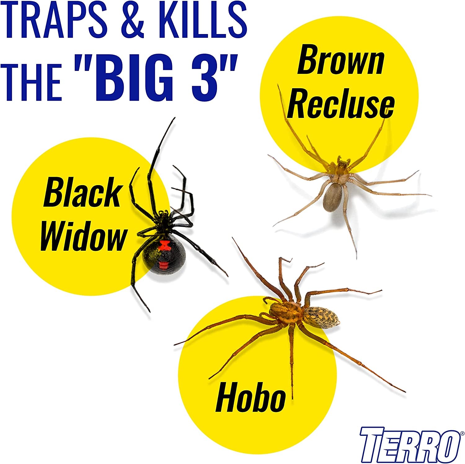 Terro T3206 Spider & Insect Trap, 4 Count (Pack of 1)