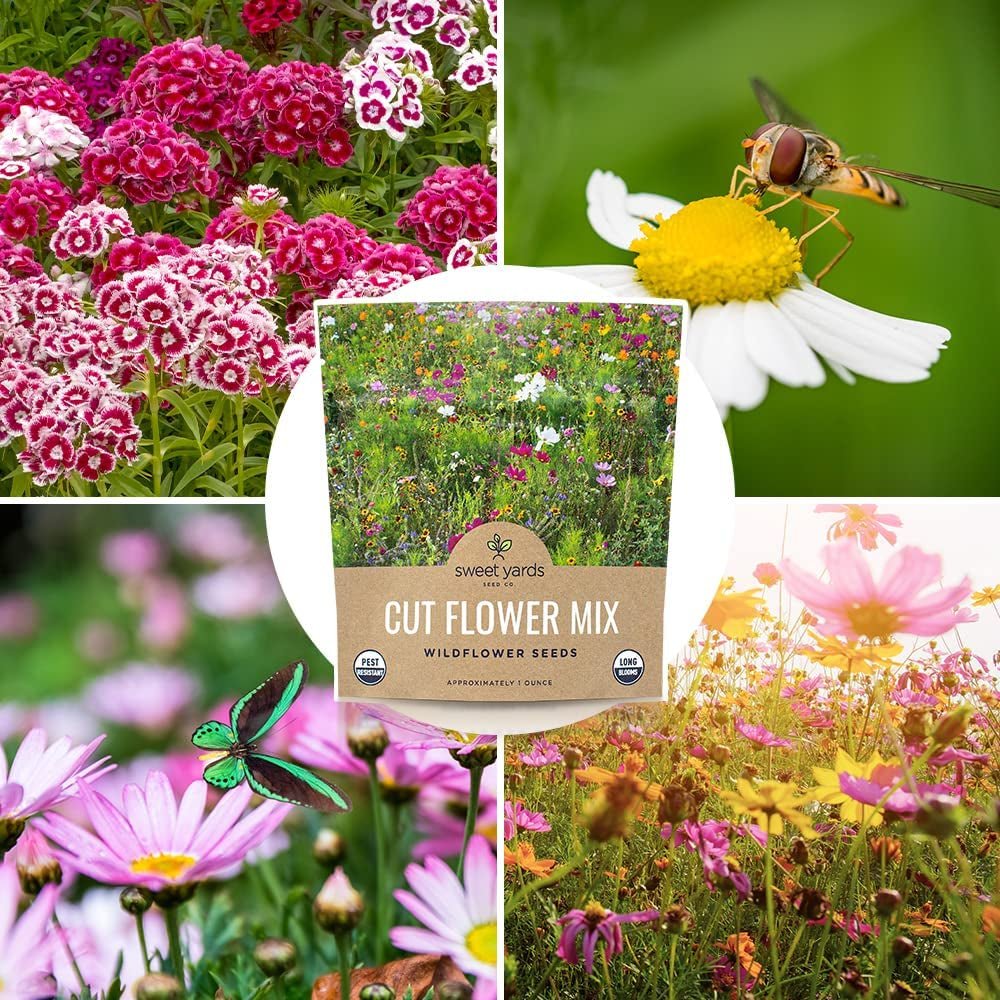 Over 7,500 Fresh Open Pollinated Non-GMO Wildflower Seeds