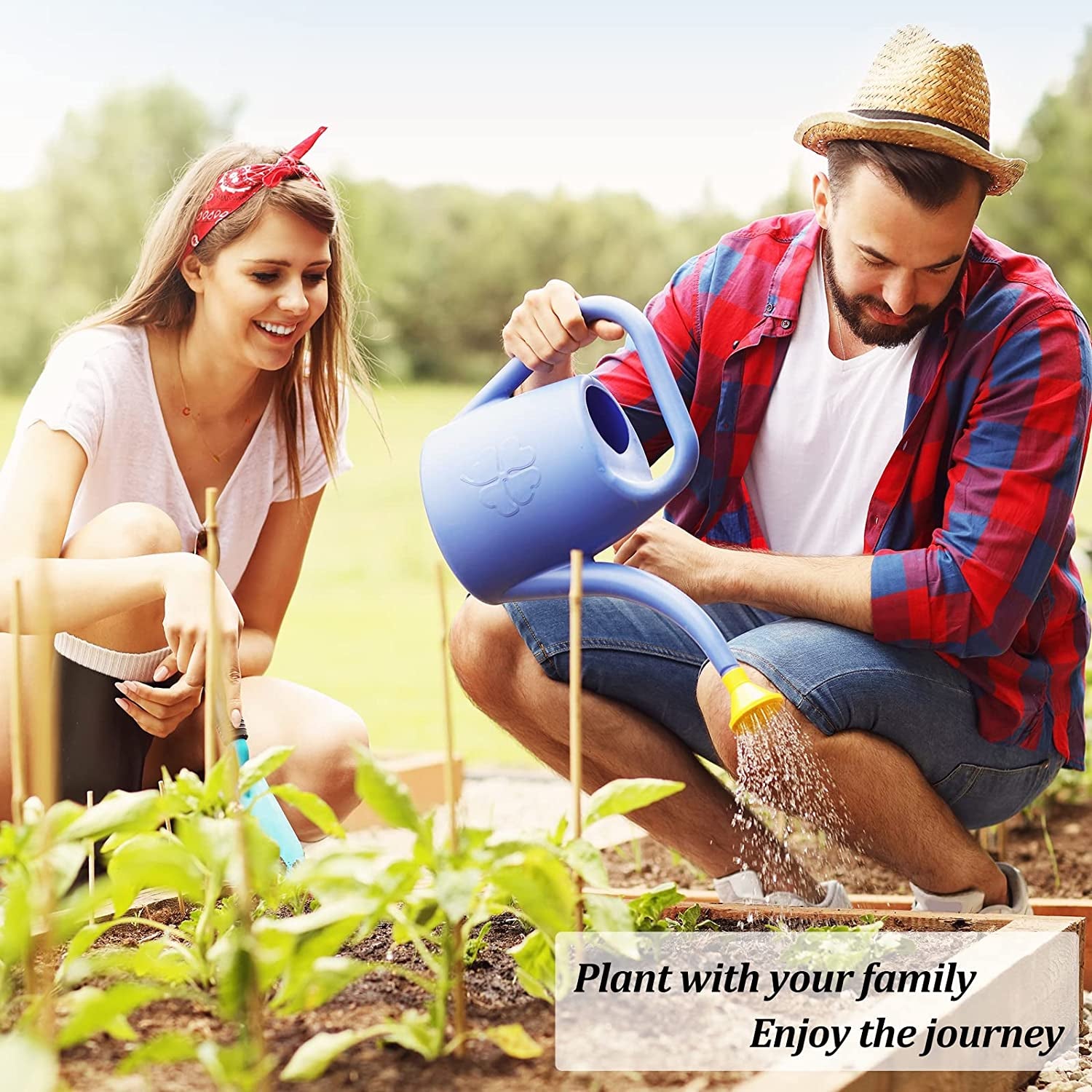 10 Herb Kit Non-GMO