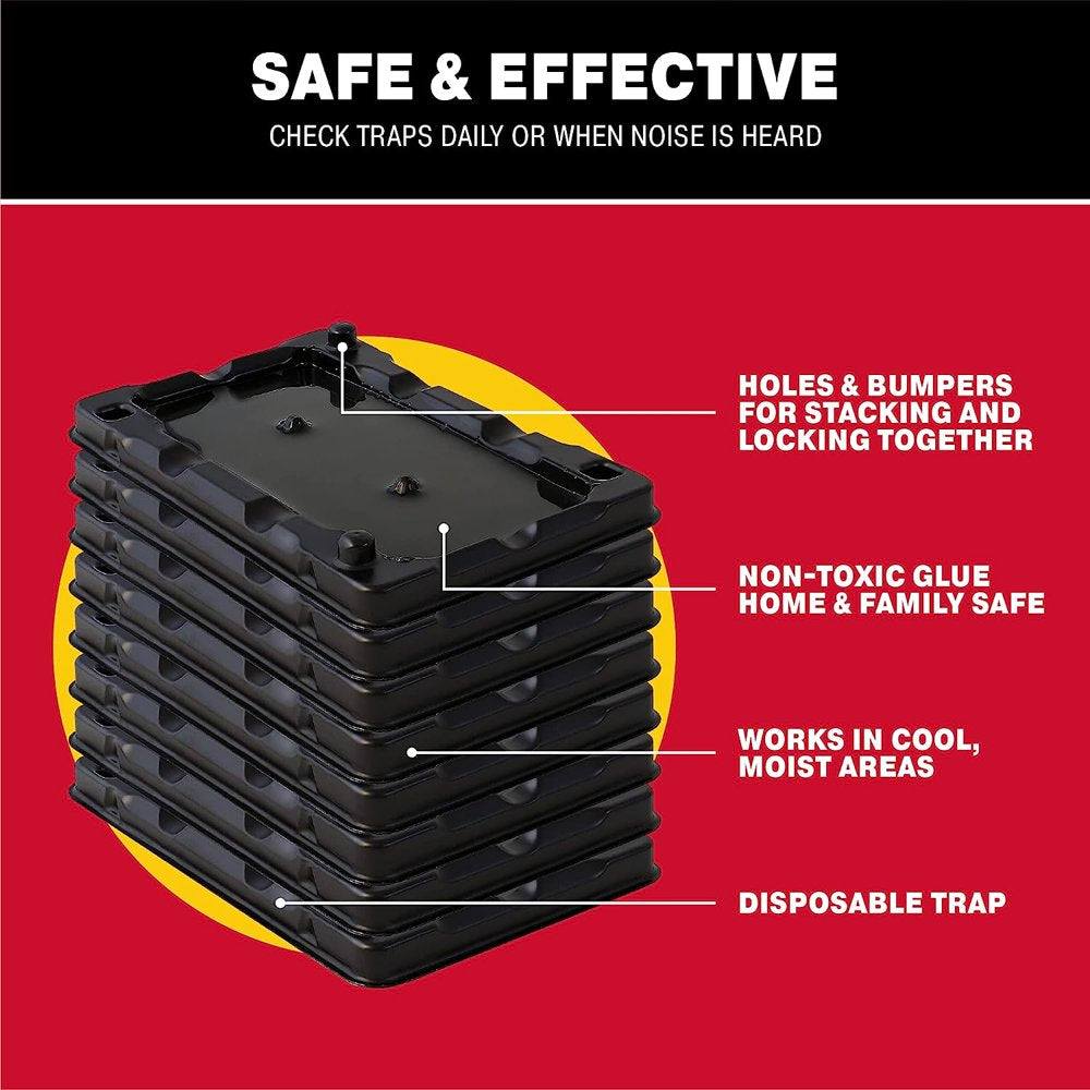 Catchmaster Mouse and Insect Glue Traps (8 Traps) Indoors Ready - Non-Toxic