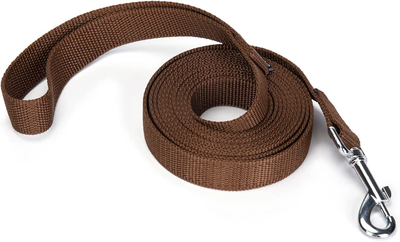 Siumouhoi Strong Durable Nylon Dog Training Leash, Traction Rope, 10 Feet Long, 1 Inch Wide, for Small and Medium Dog (10Feet, Purple)