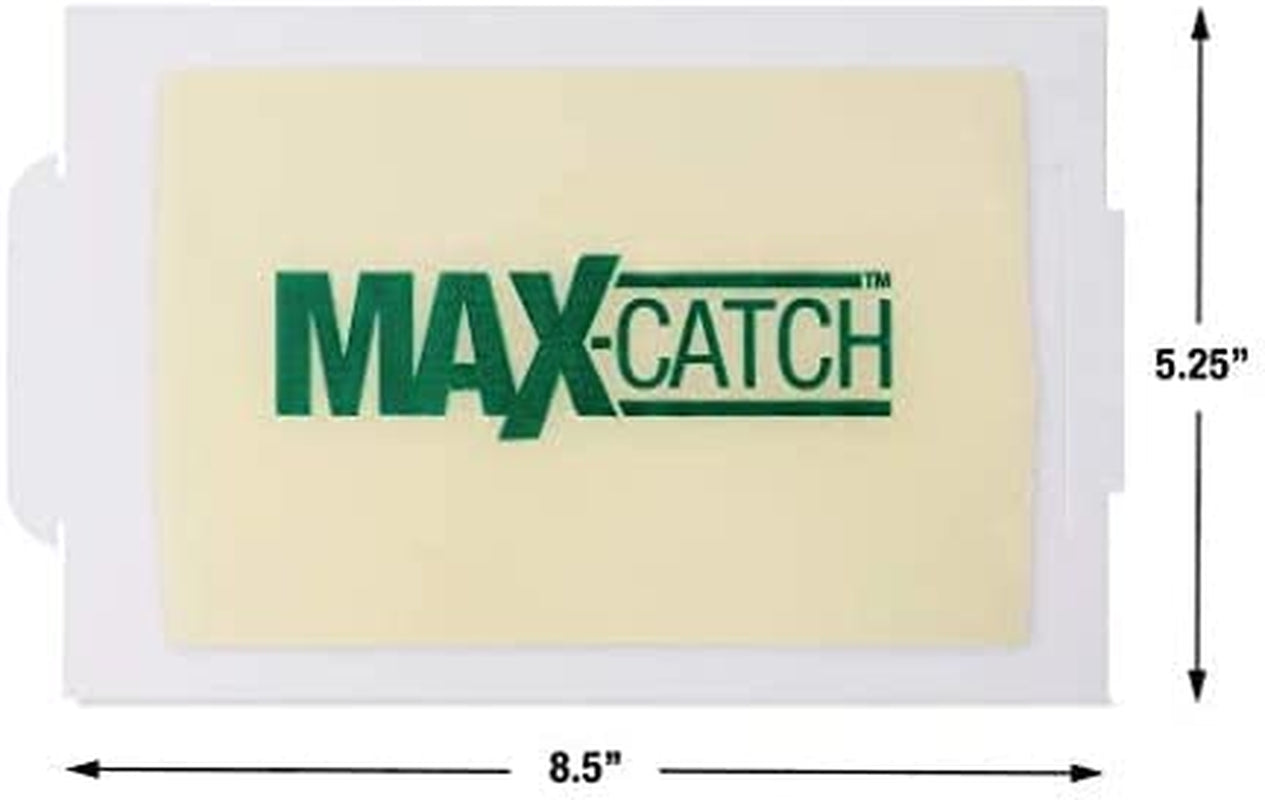 Catchmaster 72 Pack MAXCATCH Rat & Mouse Indoor Outdoor Glue Pest Trap