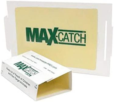 Catchmaster 72 Pack MAXCATCH Rat & Mouse Indoor Outdoor Glue Pest Trap