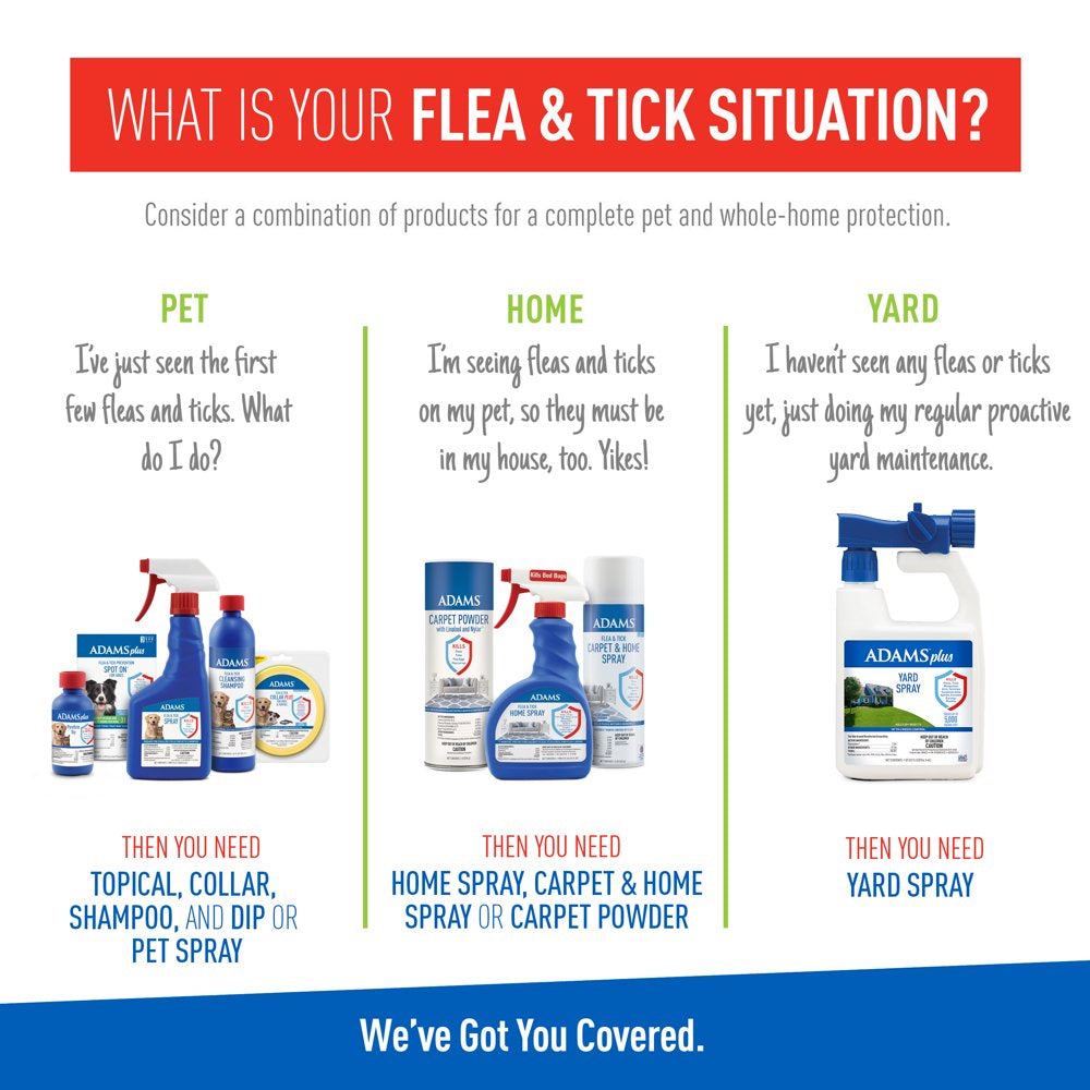 Adams Flea & Tick Cleansing Shampoo for Cats and Dogs, 12 Oz