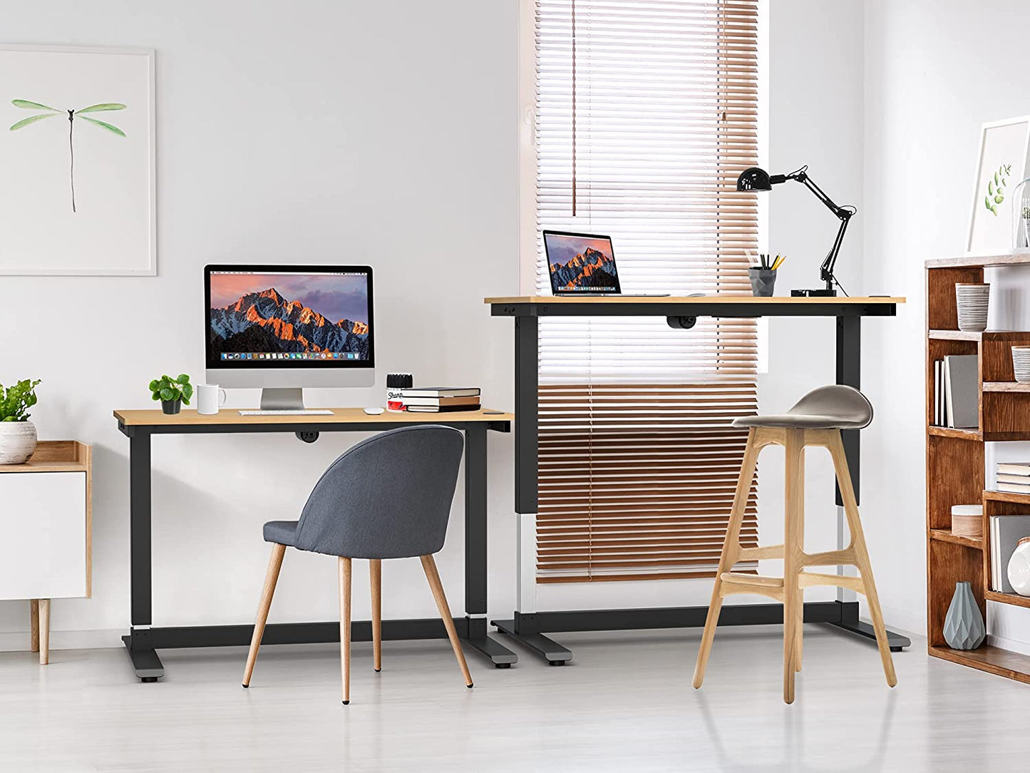 Height Adjustable Computer Desk Electric, 48 X 24 Inches, Black Frame Teak Tabletop