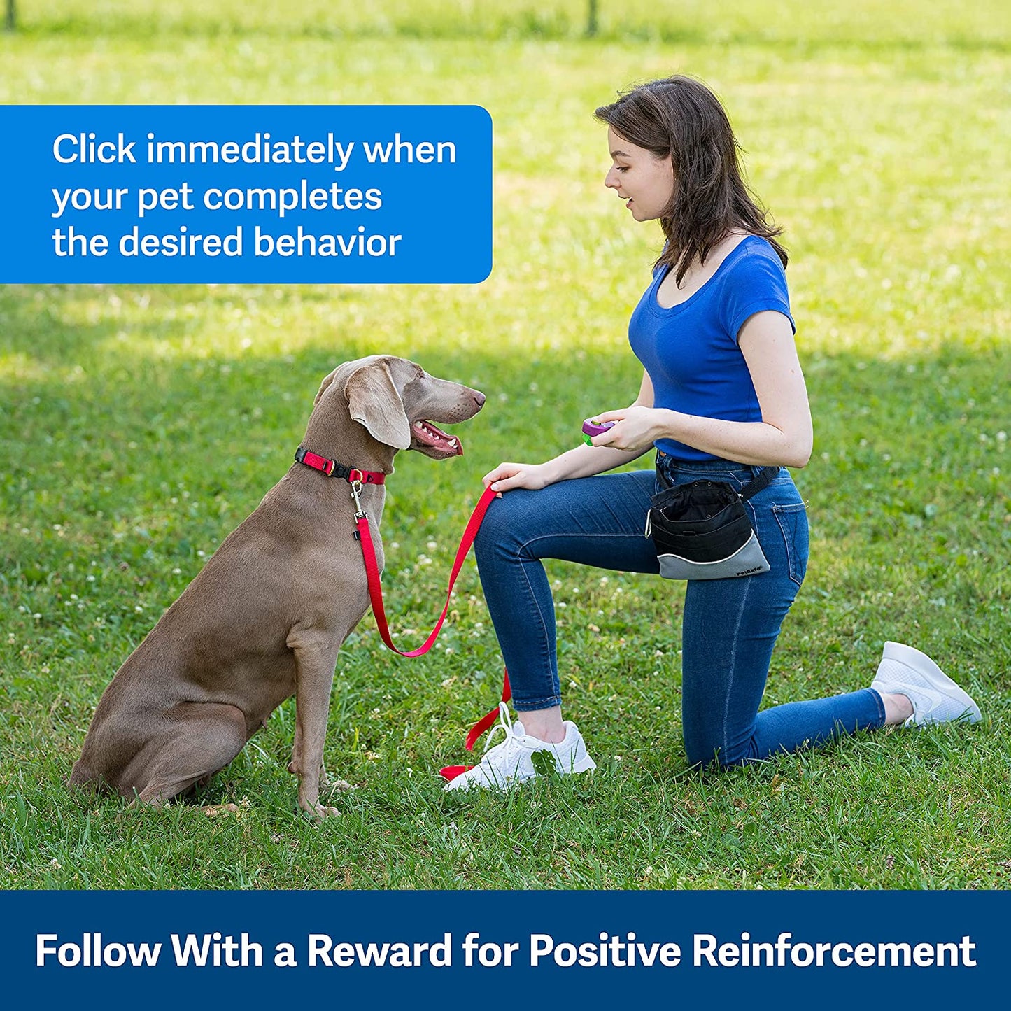 Dog Training Clicker - Positive Behavior Reinforcer for Pets - All Ages