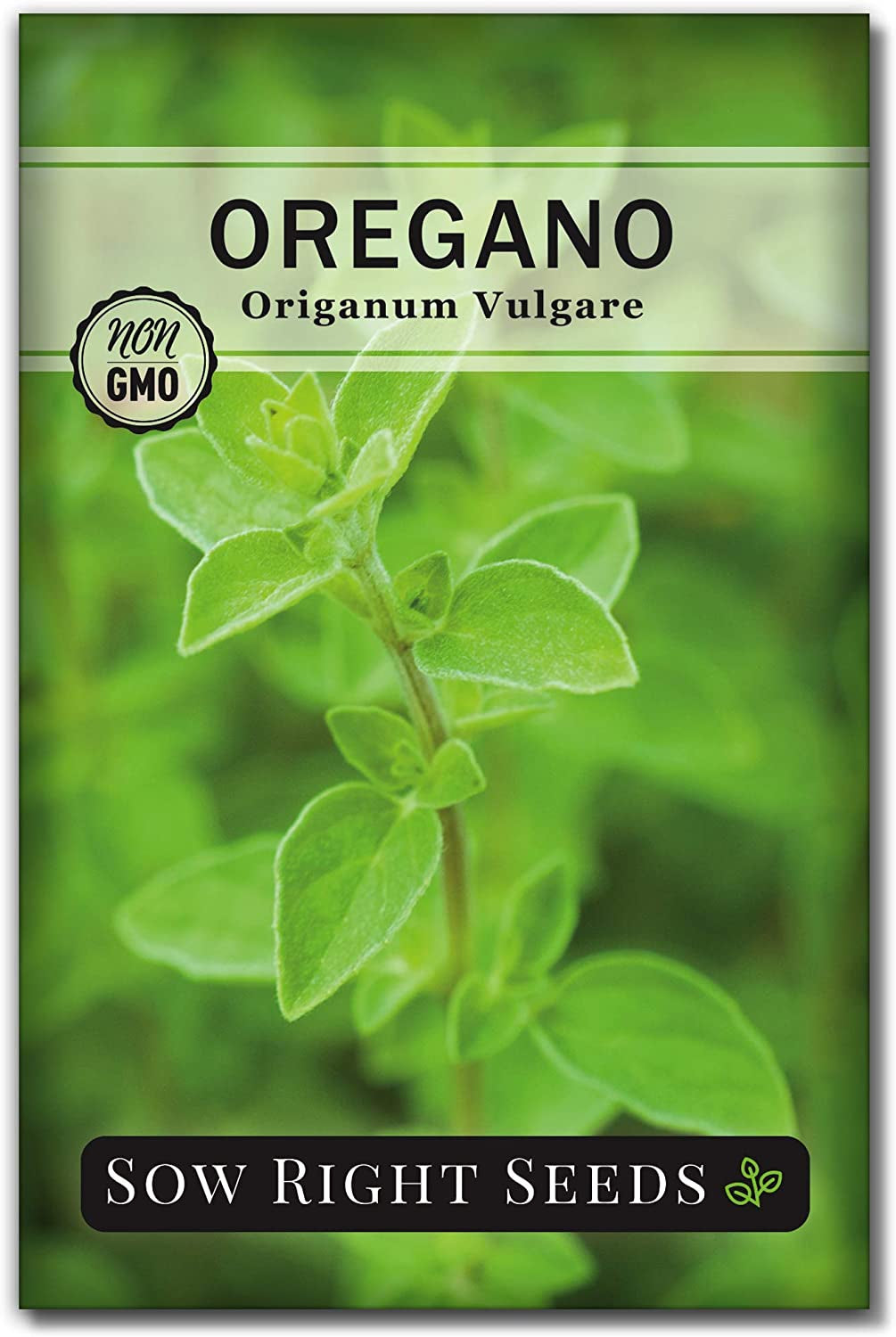 5 Herb Seed Collection - Genovese Basil, Chives, Cilantro, Italian Parsley, and Oregano Seeds