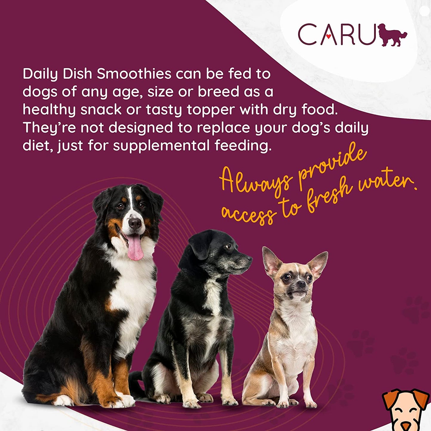 Daily Dish Smoothies - Lickable Chicken Dog Treat - 4 Pack.5oz Tubes