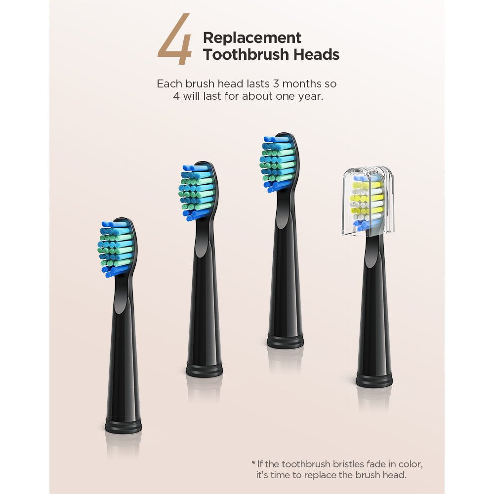 Rechargeable Power Toothbrush with 4 Brush Heads, 5 Modes and 2 Minutes Timer