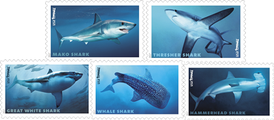 USPS Sharks One Sheet Forever Stamps - Sheet of 20 First Class Forever Stamps