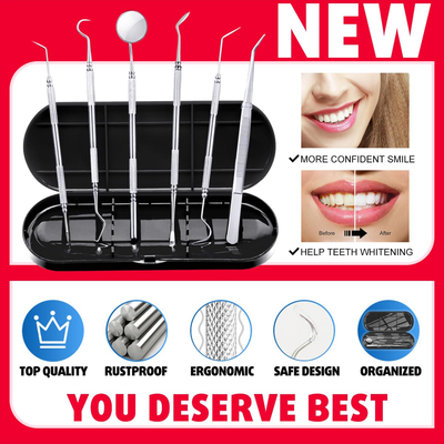 6 Piece Dental Oral Hygiene Cleaning Tool Kit - Stainless Steel