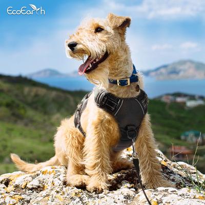 Dog Harness Soft-Padded w/ Reflective Strips for Running, Hiking & Training