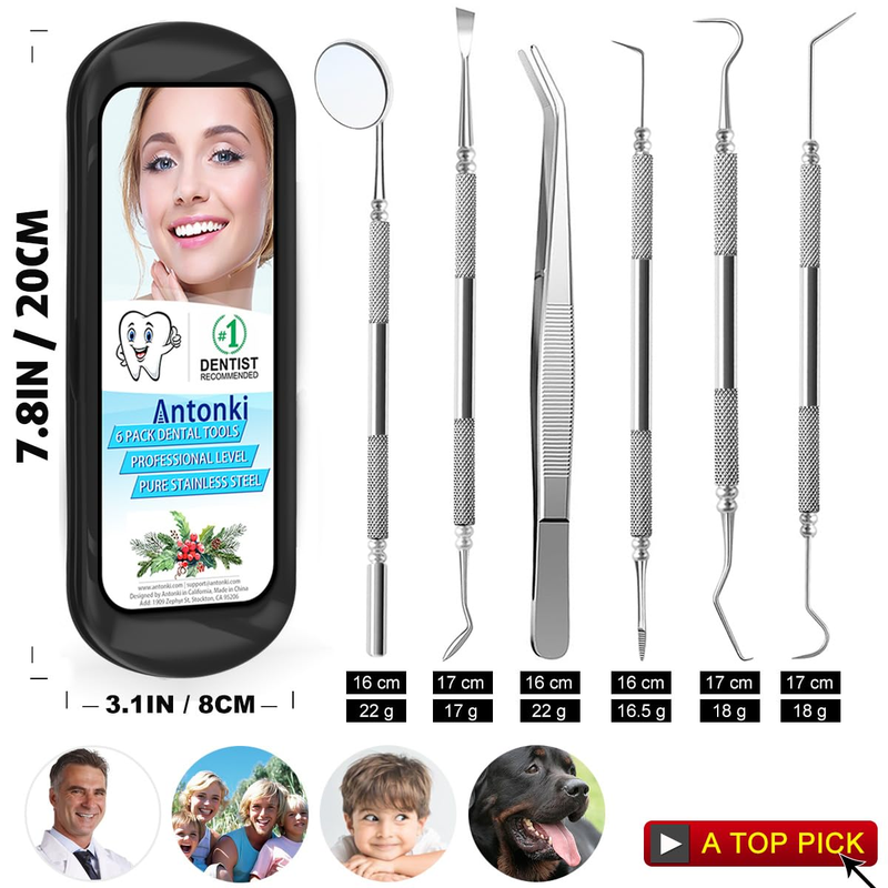 6 Piece Dental Oral Hygiene Cleaning Tool Kit - Stainless Steel