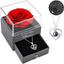 Eternal Red Rose with I Love You Necklace in Box