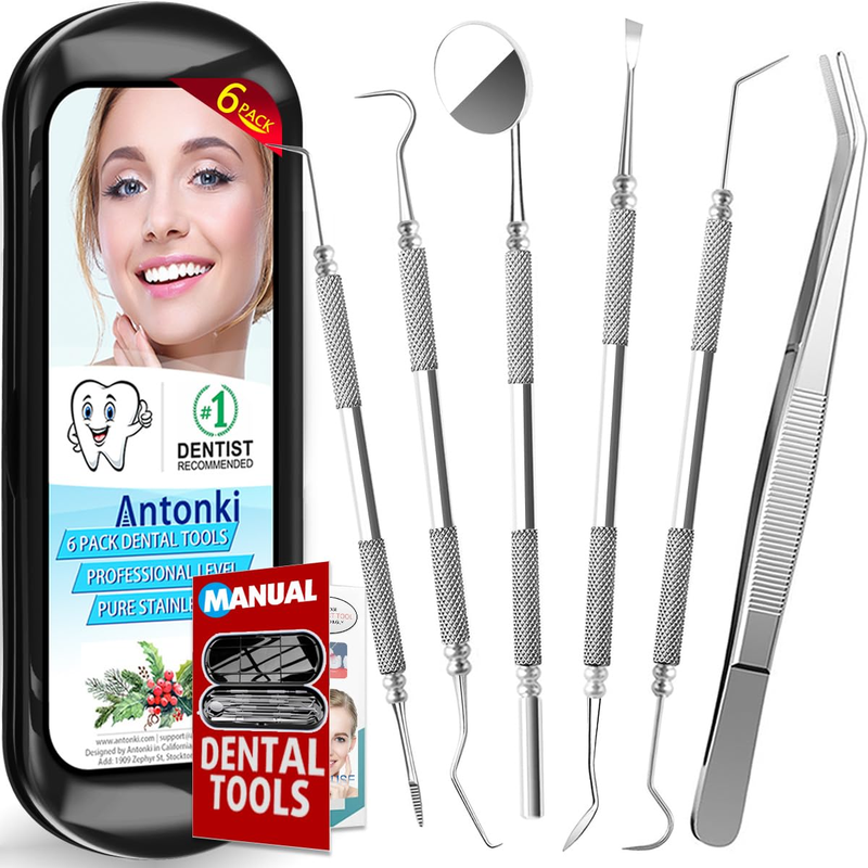 6 Piece Dental Oral Hygiene Cleaning Tool Kit - Stainless Steel