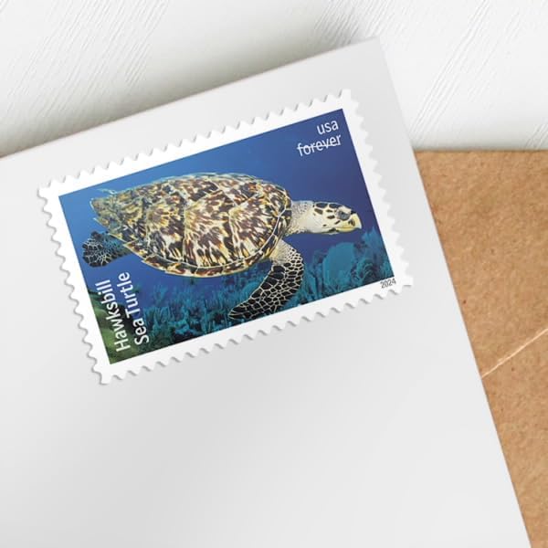 USPS Protect Sea Turtles 2024 First-Class Mail Forever Postage Stamps - 1 Sheet of 18