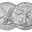 Silver 2022 American Eagle  1 oz. E PLURIBUS UNUM Fine Silver .999 US Mint Silver Eagle 1oz $1 Coin
