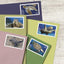 USPS Protect Sea Turtles 2024 First-Class Mail Forever Postage Stamps - 1 Sheet of 18