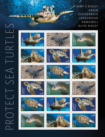 USPS Protect Sea Turtles 2024 First-Class Mail Forever Postage Stamps - 1 Sheet of 18