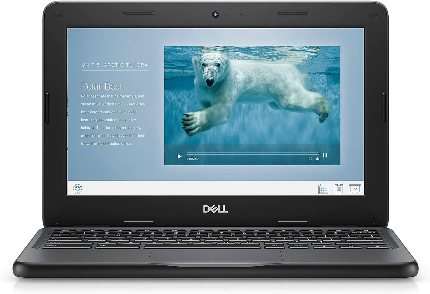 Dell Chromebook 3100 – 11.6" HD | Celeron N4000 | 4GB RAM | 16GB SSD | Chrome OS | Renewed   Open Box