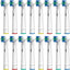 8-Pack Electric Toothbrush Replacement Heads – Soft Bristle Brush Heads Compatible Design