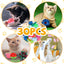 30 Piece Cat Toy Set - Interactive Kitten Toys with Wand Balls Springs and Bells