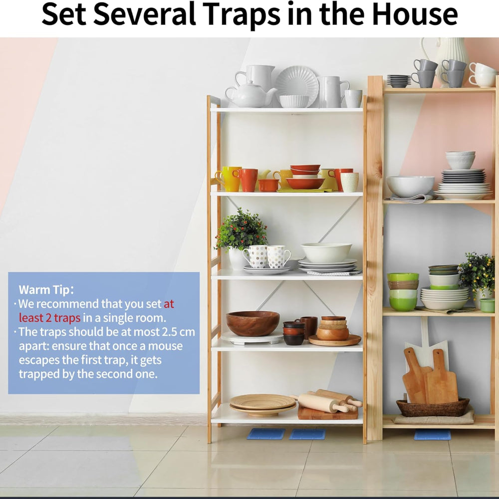 12 Pack Sticky Mouse and Insect Traps - Non-Toxic Glue - Indoor Pest Control