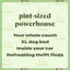 Portable carpet cleaner Amazon product image