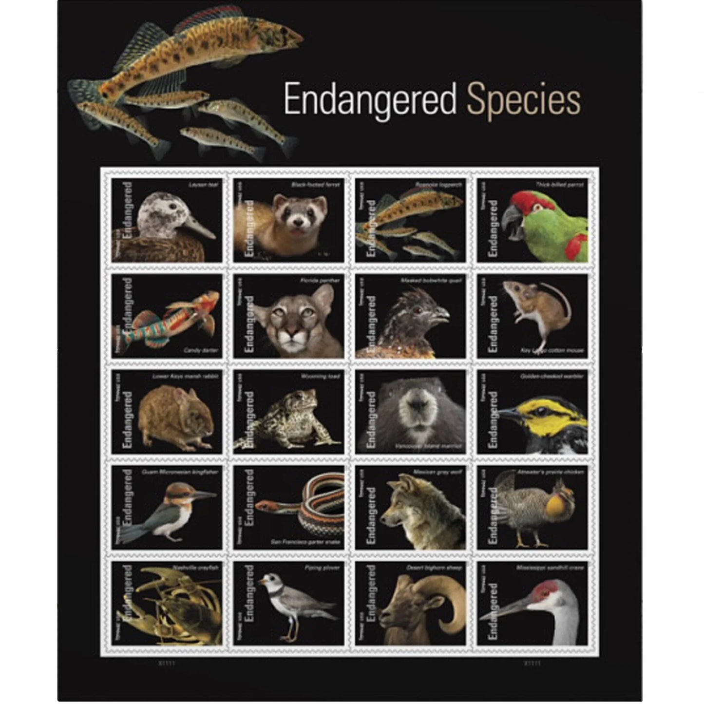 USPS Endangered Species First-Class Forever Stamps - Sheet of 20