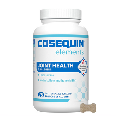 Dog Joint Support Chewable Tablets – Glucosamine MSM Supplement for Mobility & Health