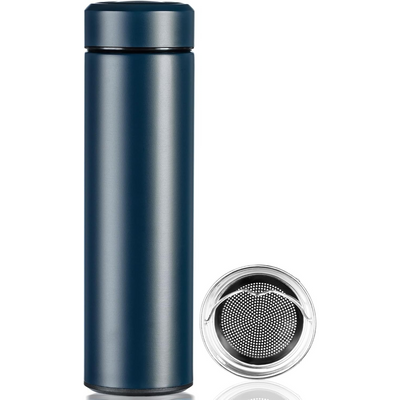 Insulated Water Bottle - 17 oz Stainless Steel