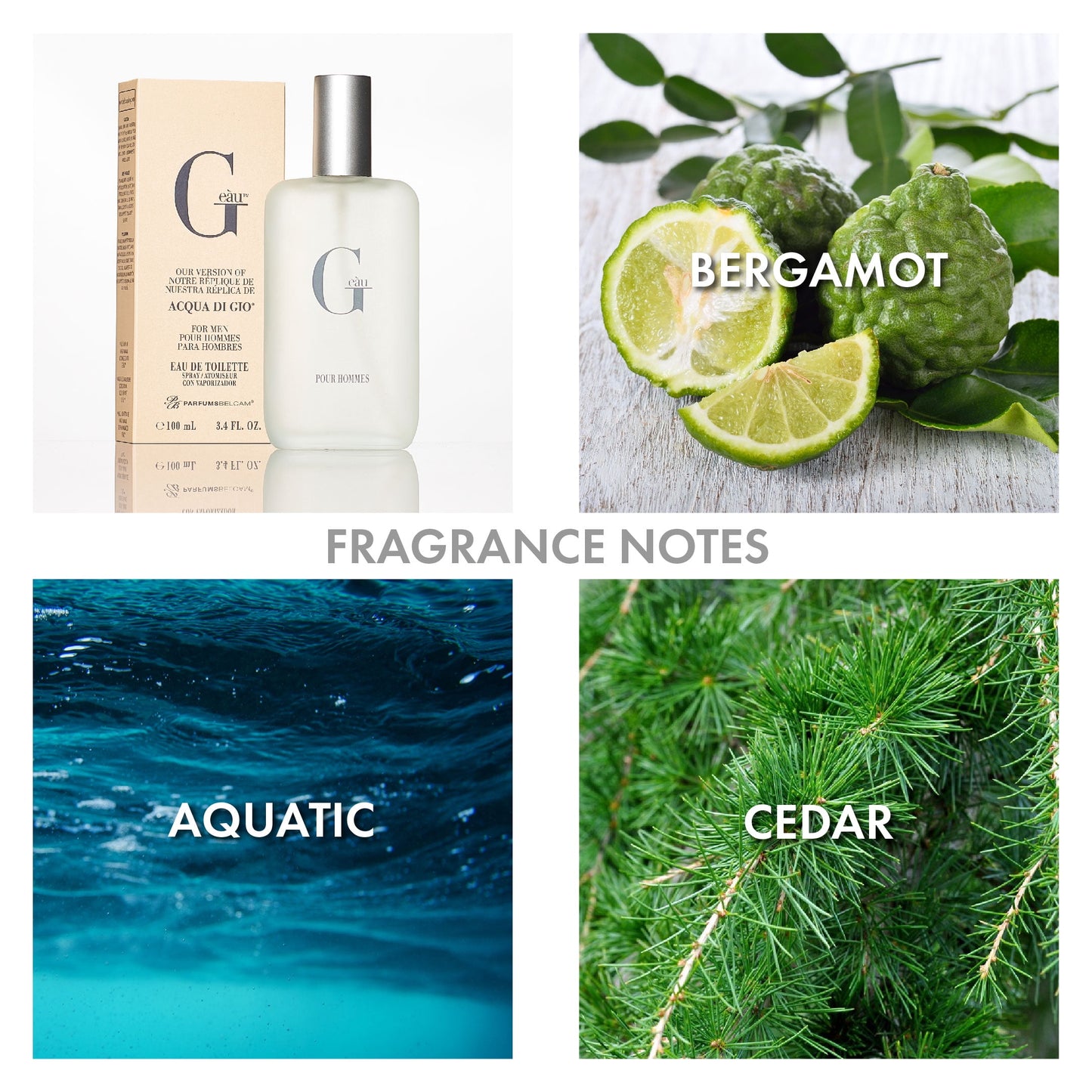 G Eau, Our Version of Acqua Di Gio, Eau De Toilette Spray, 3.4 Fl Oz