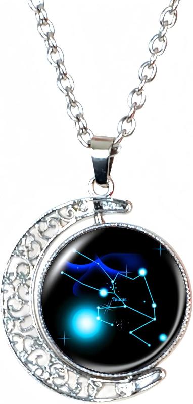 Zodiac Necklace - Astrology - 12 Constellation Horoscope Sign