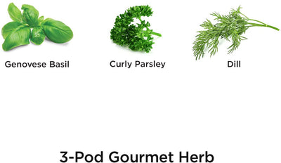  Gourmet Herb Seed Pod Kit 
