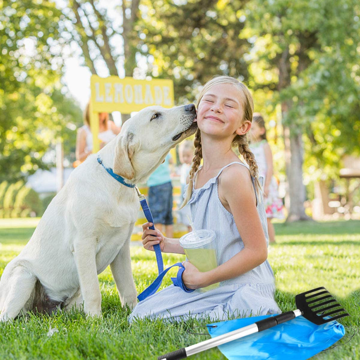  3-Stage Extendable Metal Dog Poop Rake 