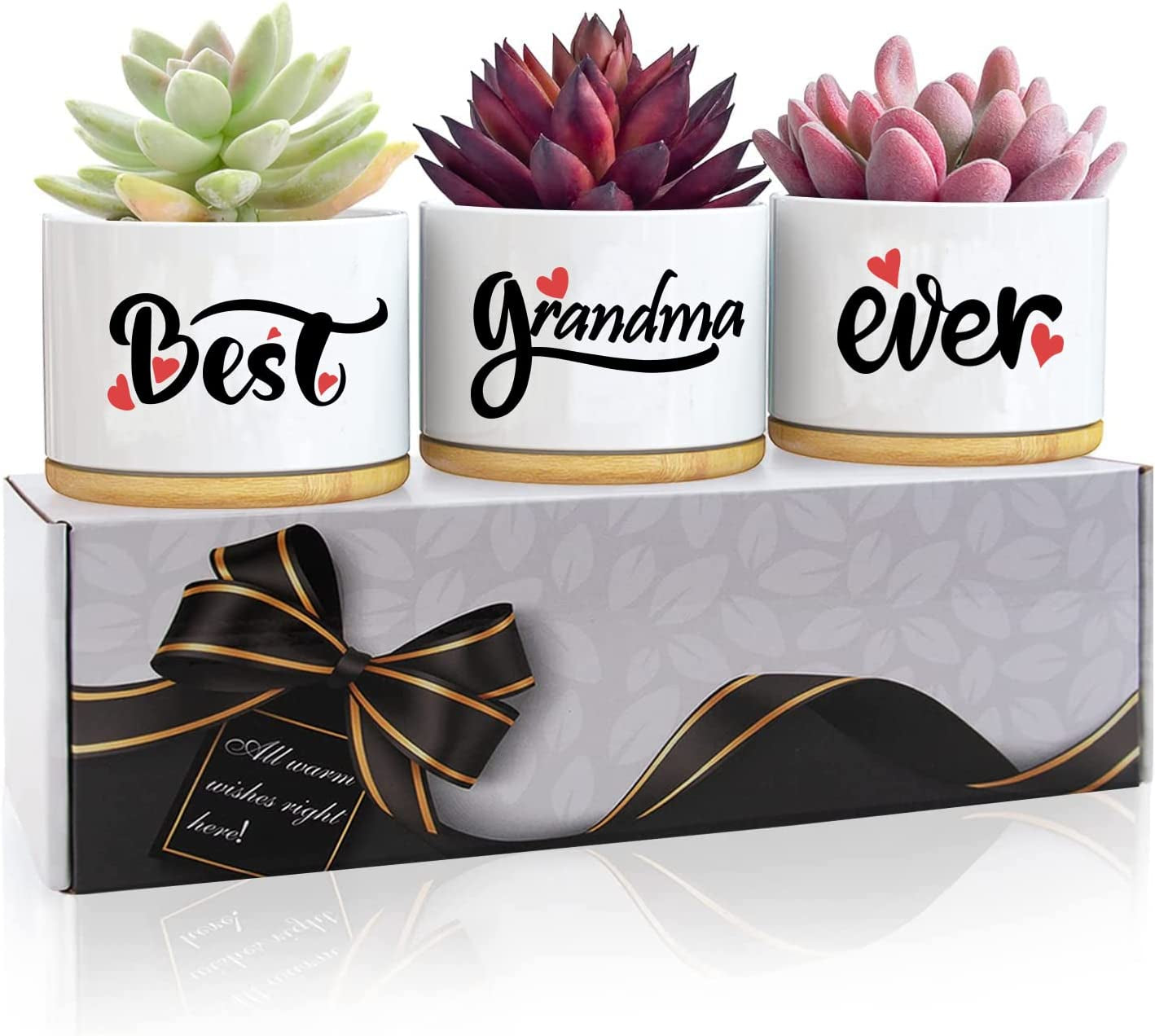 3PCS Awesome Succulent Pots For Her