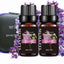 Fragrance Essential Oils Gift Set Summer, Night Air Scents, 6Packx10ml