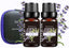 Fragrance Essential Oils Gift Set Summer, Night Air Scents, 6Packx10ml