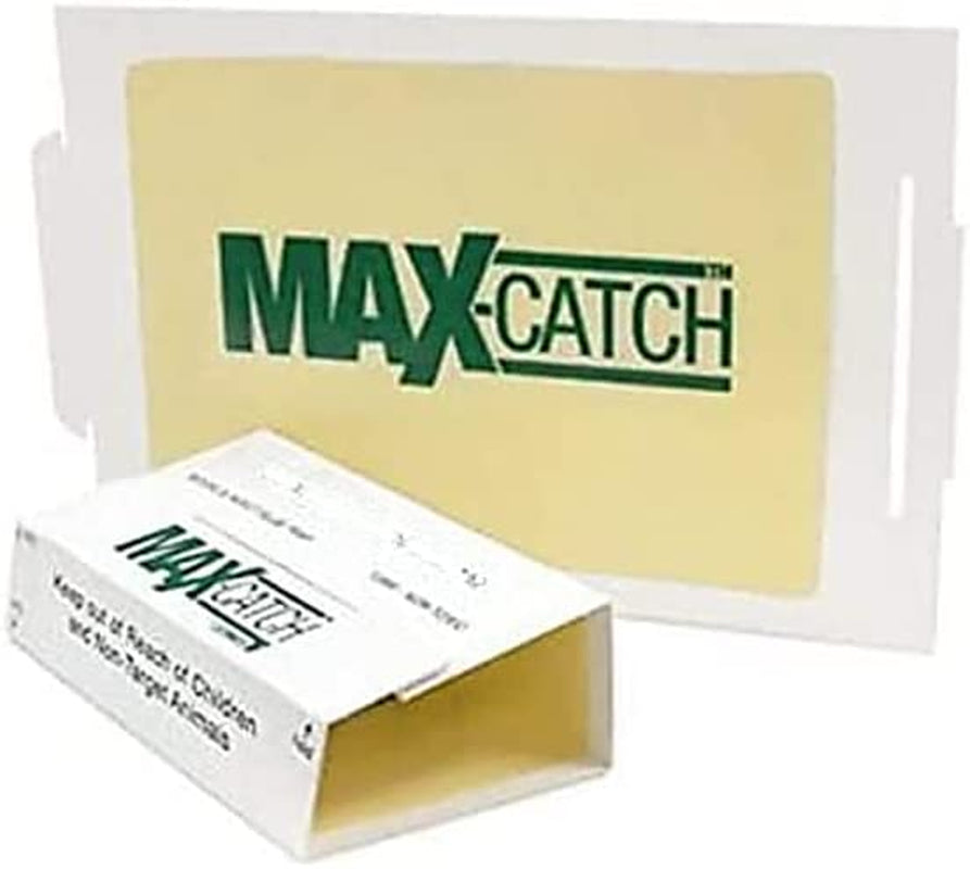 Catchmaster 72 Pack MAXCATCH Rat & Mouse Indoor Outdoor Glue Pest Trap