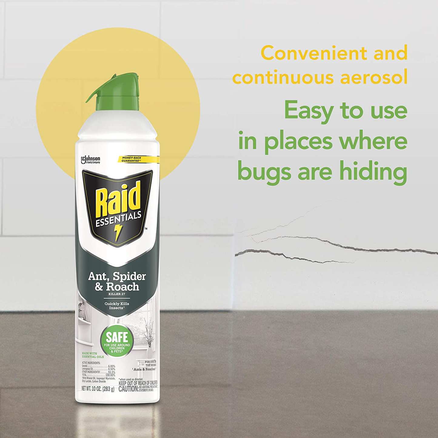 Raid Essentials Ant Spider & Roach Killer, Child & Pet Safe, for Indoor Use, 10 Oz