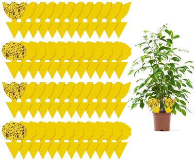 48 Pack Plants Fruit Fly Trap, Yellow Sticky Gnat Traps, Fungus Killer for Indoor and Outdoor