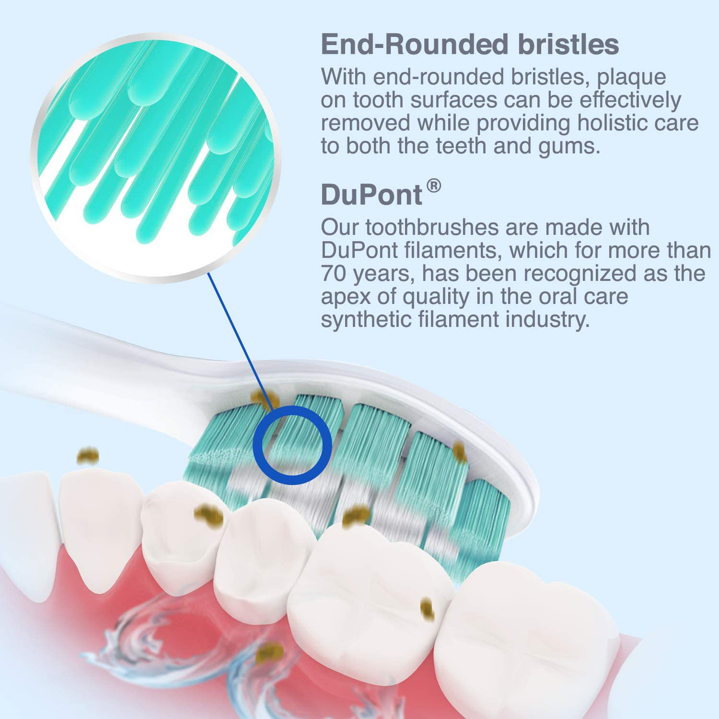 Brushmo Replacement Toothbrush Heads Compatible with Phillips Sonicare Electric Toothbrush Value Pack (8+2).